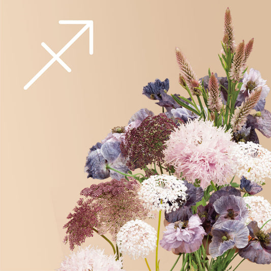 Sagittarius Seed Bundle