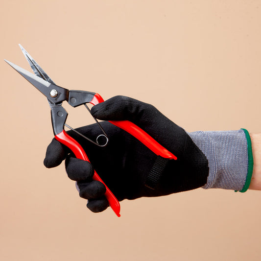 Garden Snips