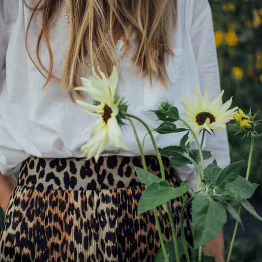 Italian White Sunflower Seeds