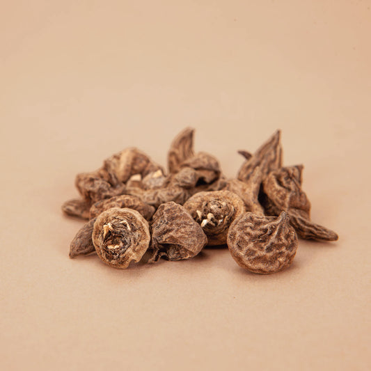 Meron Blue Anemone Corms