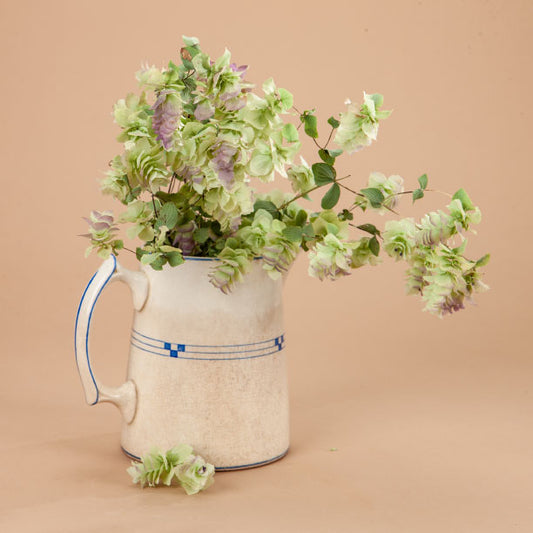 Kirigami Oregano Plants